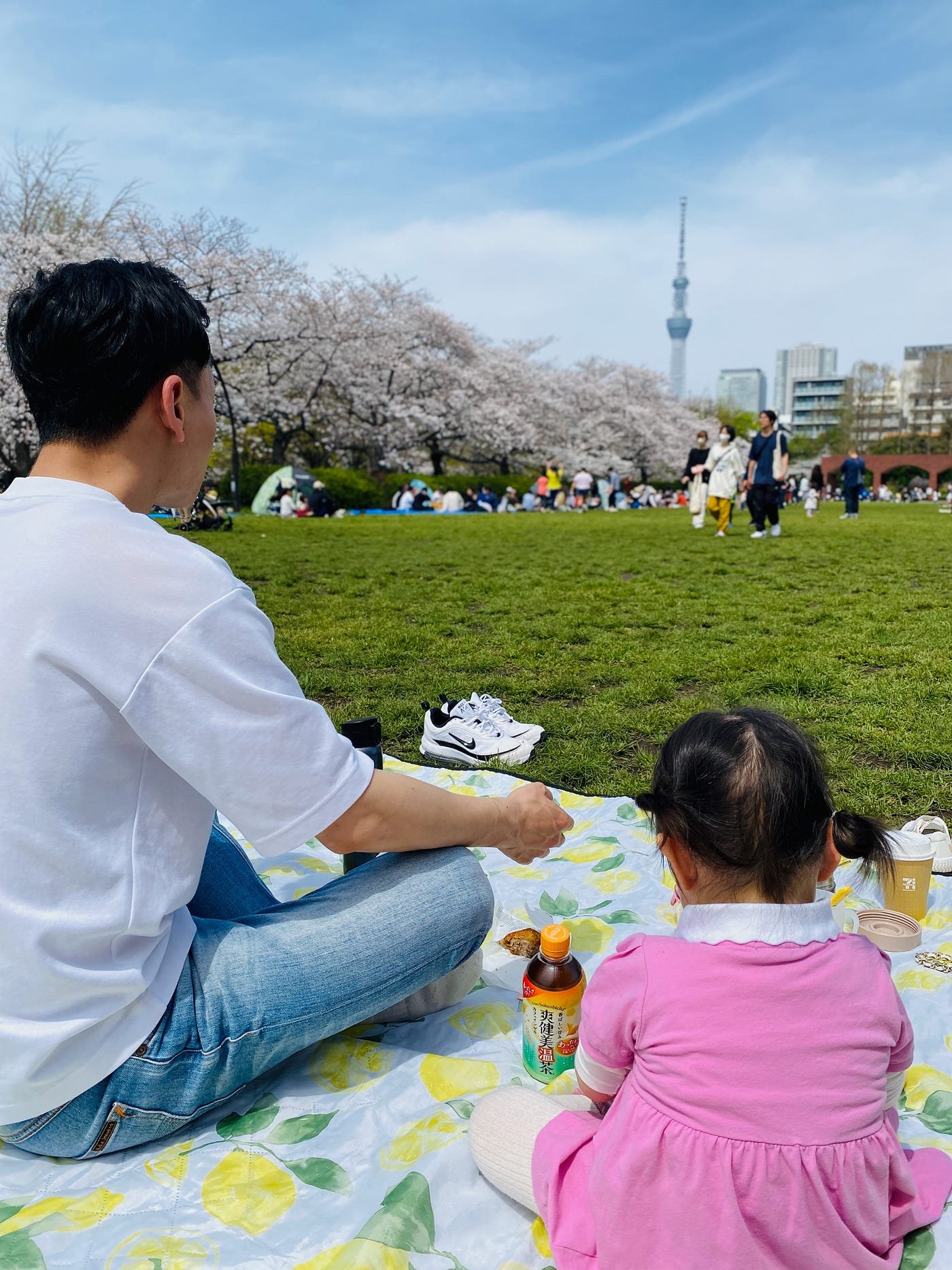 🌸 사계절 마을 공원(시키노사토 코엔) 이미지 4